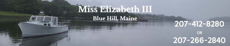 Miss Elizabeth III- Maine Boat Tours